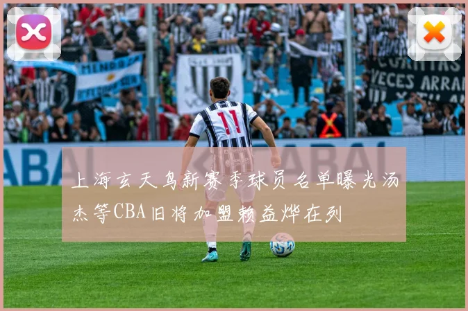 上海玄天鸟新赛季球员名单曝光汤杰等CBA旧将加盟赖益烨在列
