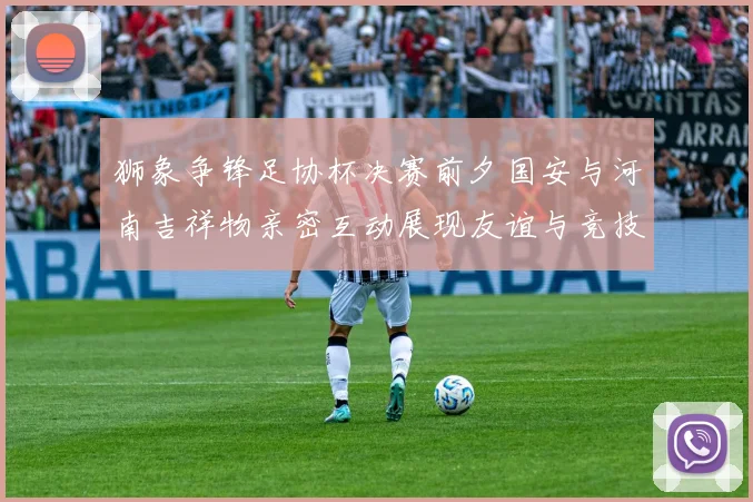 狮象争锋足协杯决赛前夕国安与河南吉祥物亲密互动展现友谊与竞技精神
